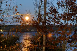 494 Newbury Neck Rd, Surry, ME 04684 - Photo 87