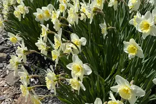 494 Newbury Neck Rd, Surry, ME 04684 - Photo 55