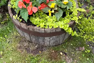 494 Newbury Neck Rd, Surry, ME 04684 - Photo 79