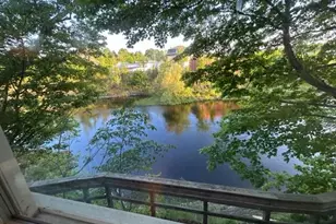 43 Lincoln St, Dover Foxcroft, ME 04426 - Photo 19