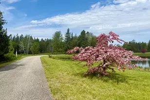 12 Morgan Rd, Pembroke, ME 04666 - Photo 3