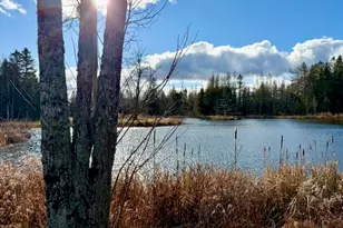 12 Morgan Rd, Pembroke, ME 04666 - Photo 19