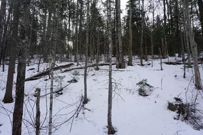 M13L18A-1 Redding Road, Woodstock, ME 04219 - Photo 9