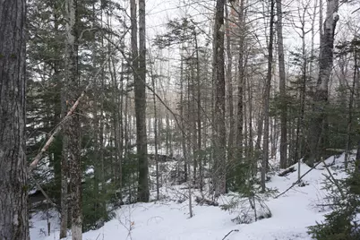 M13L18A-1 Redding Road, Woodstock, ME 04219 - Photo 13