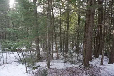 M13L18A-1 Redding Road, Woodstock, ME 04219 - Photo 15