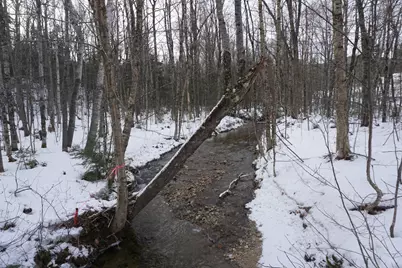 M13L18A-1 Redding Road, Woodstock, ME 04219 - Photo 3
