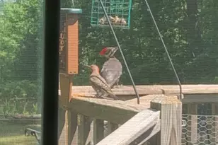 9 Ross Rd, Old Orchard Beach, ME 04064 - Photo 59