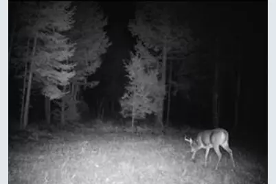 Tbd Woodville Road, Manchester, ME 04457 - Photo 13