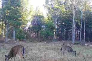 Tbd Woodville Rd, Manchester, ME 04457 - Photo 7