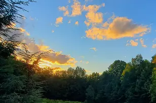 41 Bacon Rd, Unity, ME 04988 - Photo 103