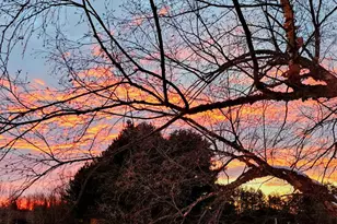 41 Bacon Rd, Unity, ME 04988 - Photo 105