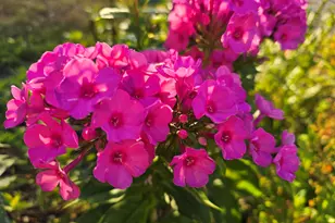 27 Pepperell St, Saco, ME 04072 - Photo 11