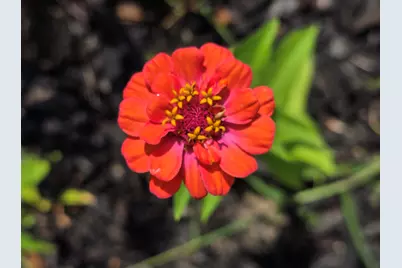 27 Pepperell Street #1, Saco, ME 04072 - Photo 13