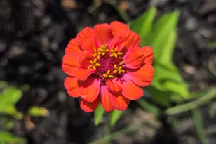 27 Pepperell St, Saco, ME 04072 - Photo 13