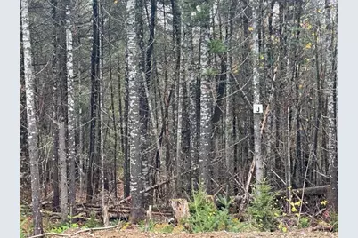 Lot ''k'' S Whitetail Way, Greenville, ME 04441 - Photo 13