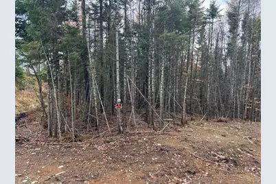 Lot ''k'' S Whitetail Way, Greenville, ME 04441 - Photo 9