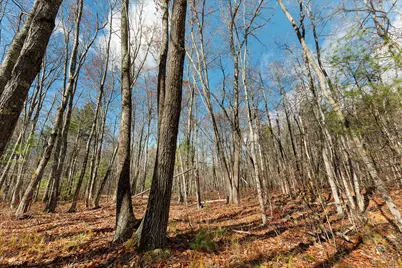 Lot 1 Kennebrook Lane, Lyman, ME 04002 - Photo 23