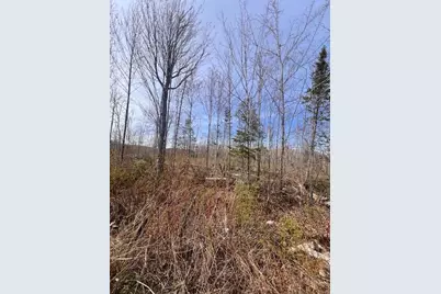 M8 P/O 1 Drews Mill Road, Linneus, ME 04730 - Photo 3