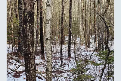 M2, L4 Off Sacarap Road, Columbia Falls, ME 04623 - Photo 5