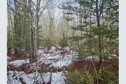 M2, L4 Off Sacarap Road, Columbia Falls, ME 04623 - Photo 3