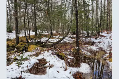 M2, L4 Off Sacarap Road, Columbia Falls, ME 04623 - Photo 7