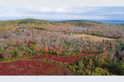 423 Beech Hill Road, Northport, ME 04849 - Photo 7