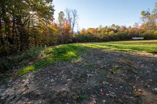 3 Back Rd, Abbot, ME 04406 - Photo 61