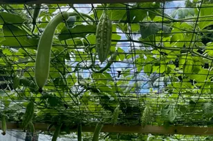 96 Holm Ave, Portland, ME 04102 - Photo 23