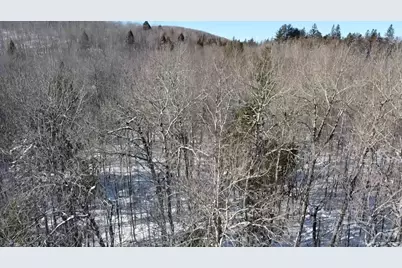 Lot 7 Curtis Farm Road, Lincoln, ME 04457 - Photo 7