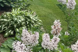 25 Shank St, Lewiston, ME 04240 - Photo 49