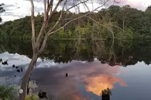 35 Bangor Rd, Benton, ME 04901 - Photo 95