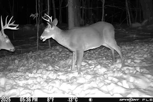 63 George Hannon Rd, Casco, ME 04015 - Photo 93