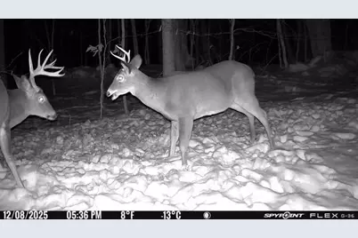 63 George Hannon Road, Casco, ME 04015 - Photo 83