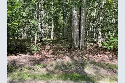 173 Island Way, Carmel, ME 04419 - Photo 11