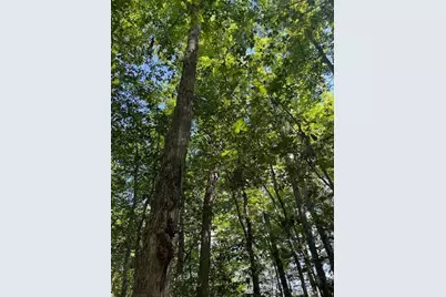 173 Island Way, Carmel, ME 04419 - Photo 9