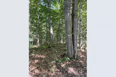 173 Island Way, Carmel, ME 04419 - Photo 7