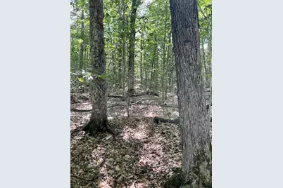 173 Island Way, Carmel, ME 04419 - Photo 5