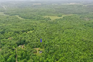 100 Dill Rd, Stetson, ME 04488 - Photo 59