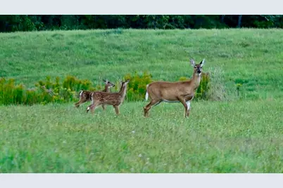 12 Mount View Lane, Bucksport, ME 04416 - Photo 5