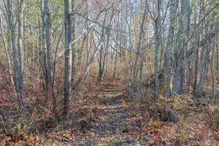 16 Veronica Ln, Falmouth, ME 04105 - Photo 95