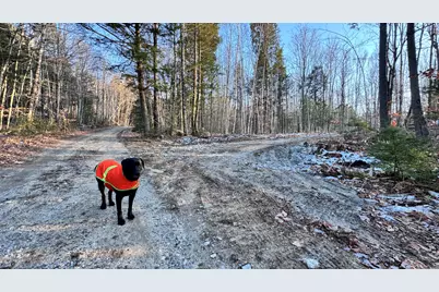 Lot 137.25 French Hill Road, Albany, ME 04217 - Photo 15