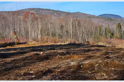 Lot 137.25 French Hill Road, Albany, ME 04217 - Photo 3