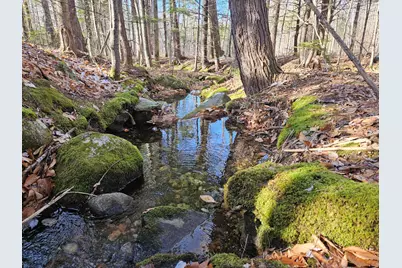 Lot 137.25 French Hill Road, Albany, ME 04217 - Photo 11