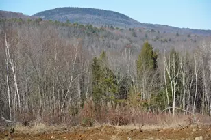 Lot 137 25 French Hill Rd, Albany, ME 04217 - Photo 1