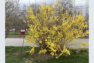 22 Old Jay Hill Road, Jay, ME 04239 - Photo 65