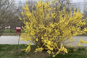 22 Old Jay Hill Rd, Jay, ME 04239 - Photo 65