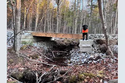 0 French Hill Road, Albany, ME 04217 - Photo 13