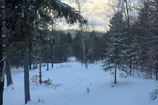 Lot 01 31 Spruce Pond Rd, Limington, ME 04961 - Photo 5