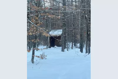 Lot 01/31 Spruce Pond Road, Limington, ME 04961 - Photo 13