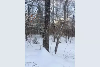 Lot 01/31 Spruce Pond Road, Limington, ME 04961 - Photo 25